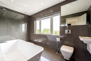 Shower, hair dryer