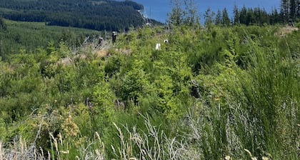 Private 80 acre off grid paradise pad and wilderness tent camping