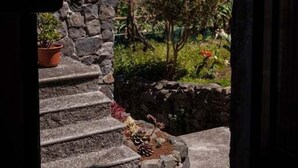 A stone staircase leading to a garden with a view of mountains and a clear sky. - GuestReady - Magical refuge in Madeira (Seixal)