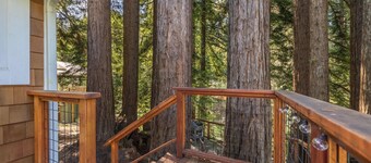 Redwood Home - view of the river!
