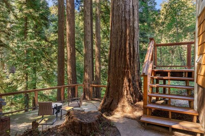 Redwood Home - view of the river!