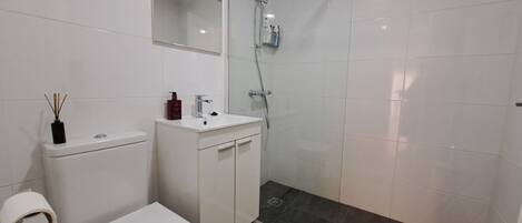 Shower, hair dryer, towels