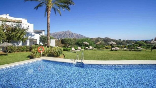 Une piscine avec un palmier, des chaises longues et une montagne en arrière-plan.
