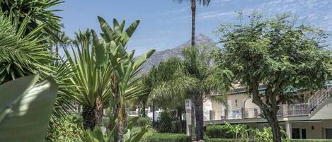 Jardines del alojamiento