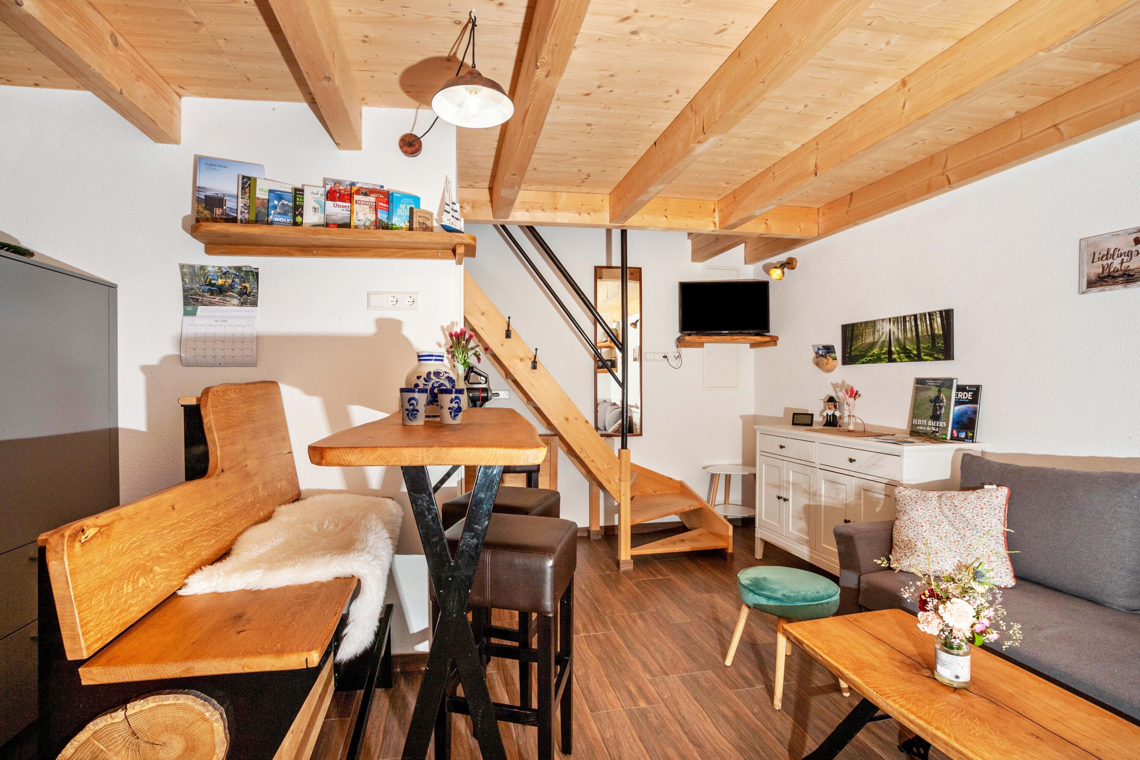 TV, DVD player, table tennis, stereo