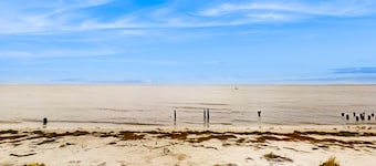 Dog-friendly getaway with central AC & a washer/dryer - walk to the beach