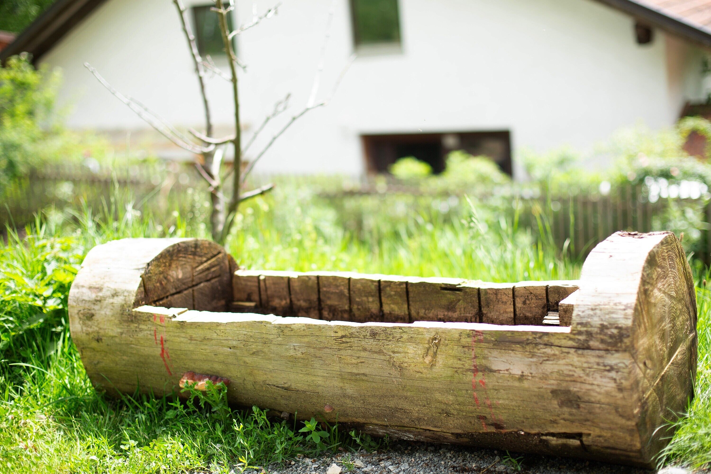 A log with a cut-out section in a grassy area with a building in the background.