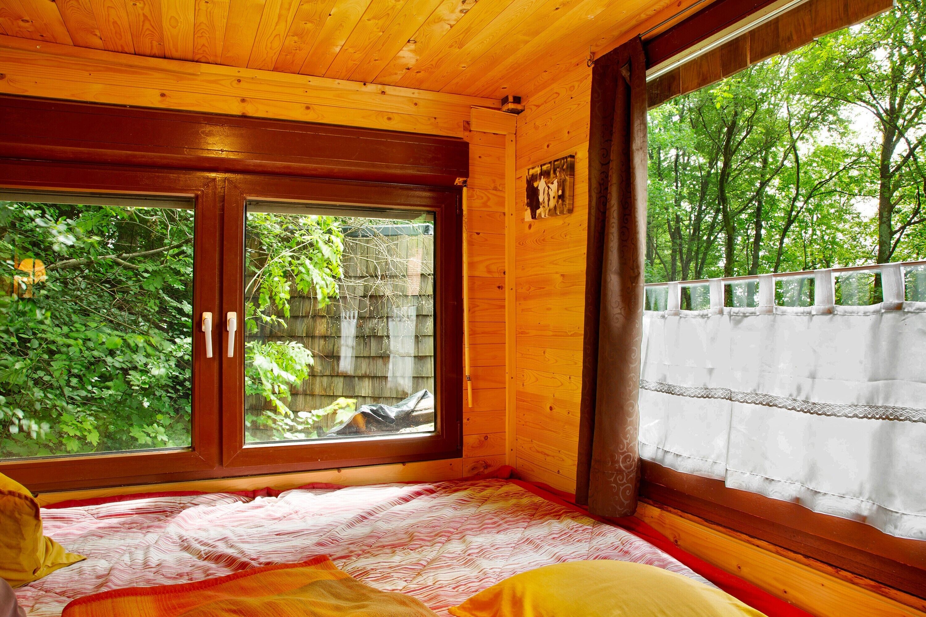 A wooden cabin room with a bed, large windows, and a view of trees.
