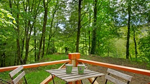 A wooden deck with a table and chairs, surrounded by a forest.