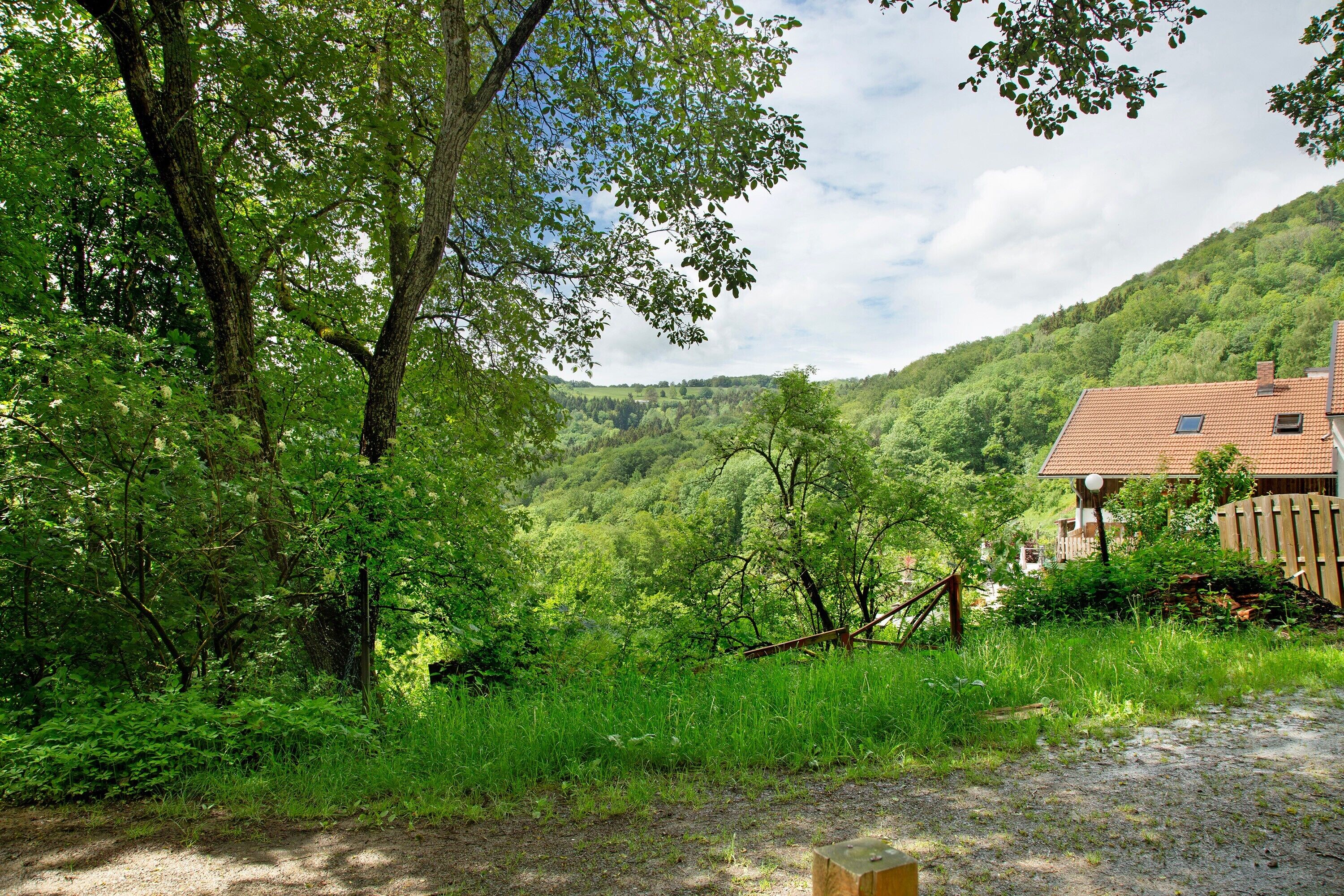 Landskab med hus, frodig vegetation og grussti.
