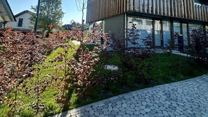 A modern building with a flat roof, large windows, and a wooden fence. - Exclusive 5-room maisonette architect's house with panoramic lake view and penthouse roof terrace (Öhningen)