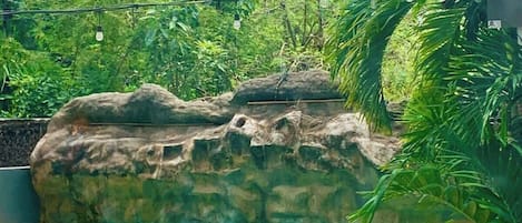 泳池