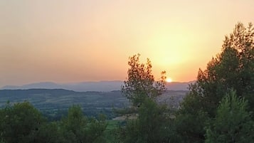 Una vista al atardecer con árboles en primer plano.