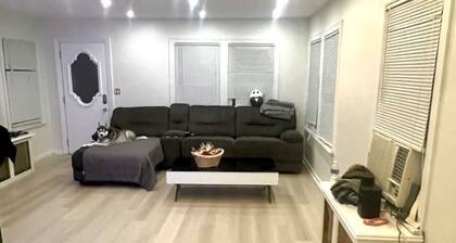 Beautiful Home Midwood area
