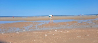 Apartment in Koksijde near the Beach