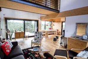 TV connectée, cheminée, lecteur de DVD, livres