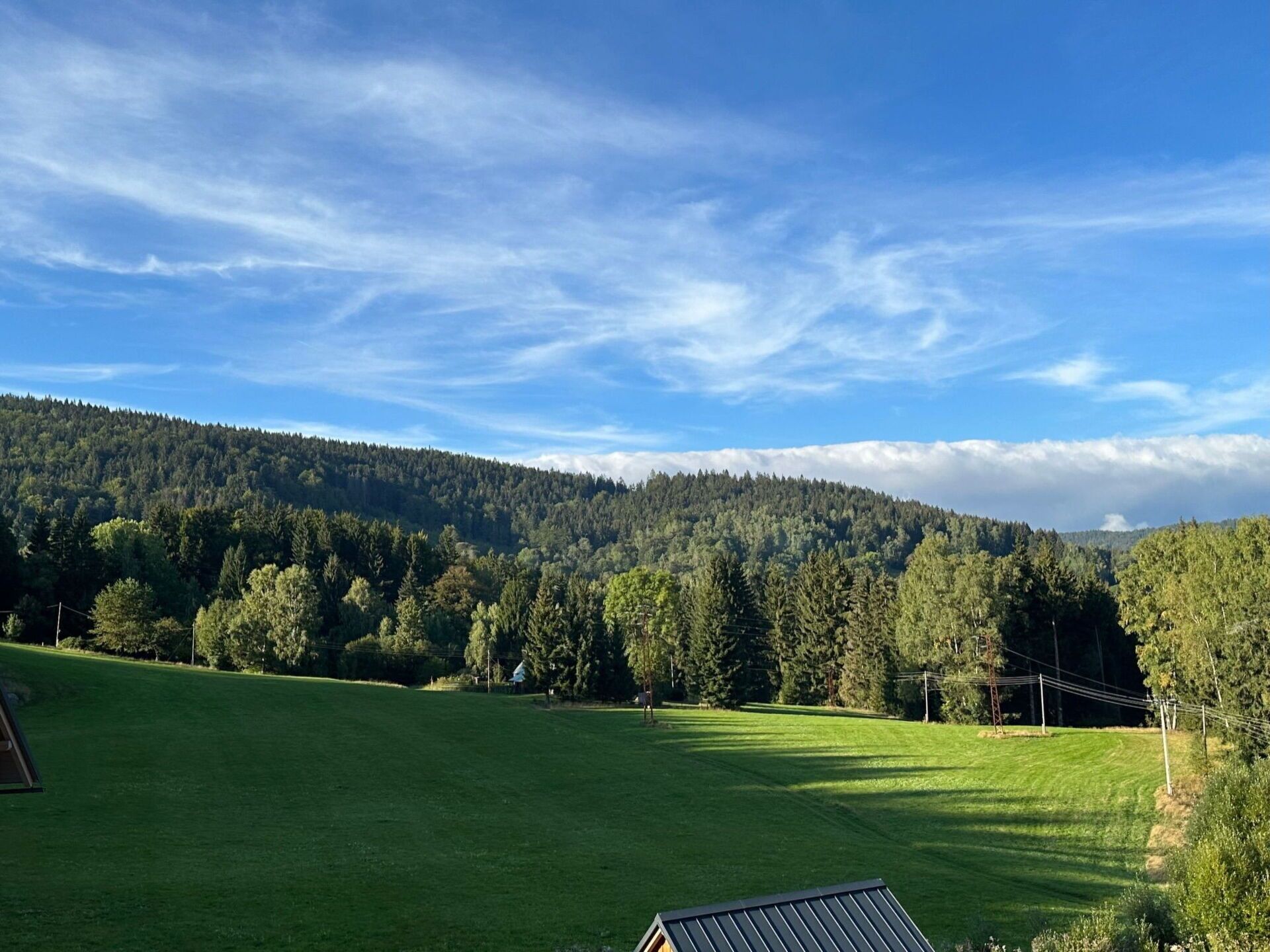 A green field with a house in the foreground and a forested hill in the background.