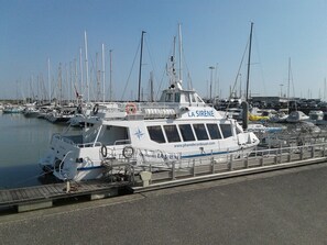 Marina - Gîte L'égoa se Situant Dans un Petit Hameau à 17km des Plages Charentaise (Montpellier-de-Médillan)
