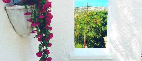 Details aan de buitenkant