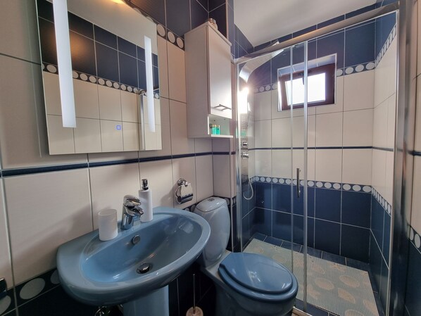 Une salle de bain avec un lavabo, des toilettes et une douche.
