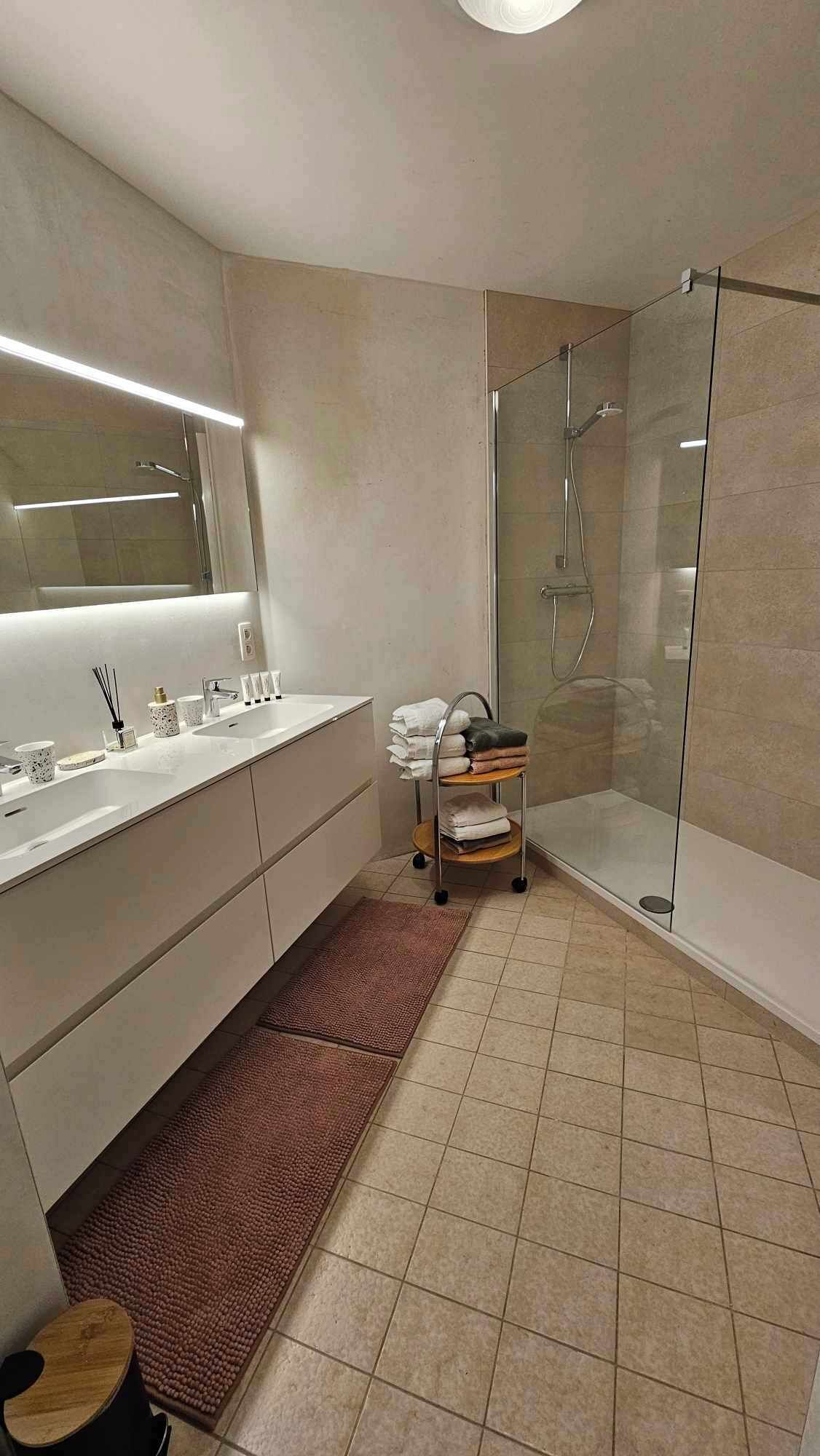 Een douche, een haardroger, handdoeken, zeep