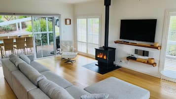 TV, fireplace