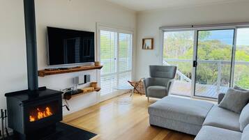 Télévision, cheminée