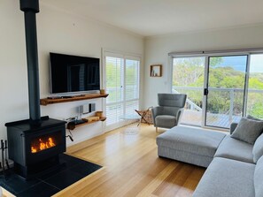 TV, fireplace - Salt Life  - Pet Friendly Outside, WIFI (Robe)