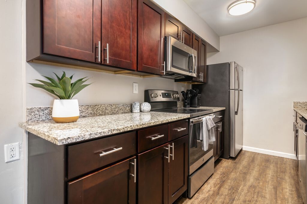 Fridge, oven, stovetop, dishwasher