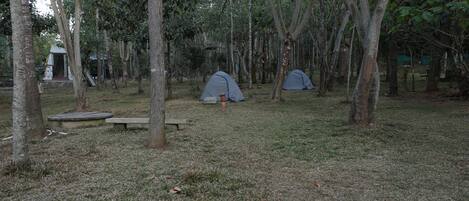 A campsite with two tents, a picnic table, and a grassy area surrounded by trees.