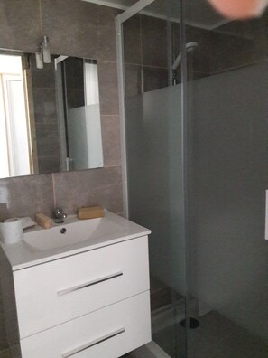 Ducha, secador de pelo, toallas y papel higiénico