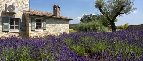 Áreas de la propiedad