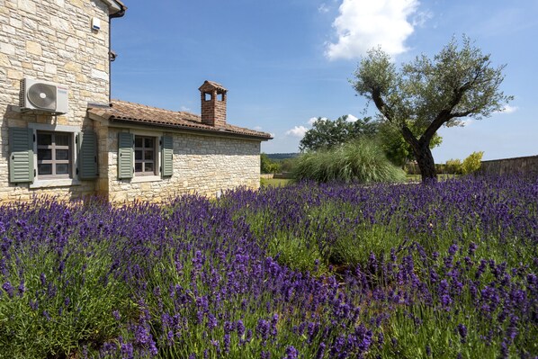 Área da propriedade