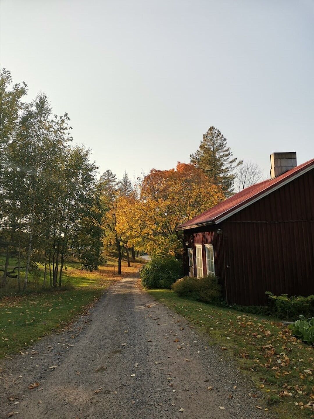 Un chemin de gravier mène à un bâtiment rustique en bois, surmonté d’un toit en métal, et entouré d’arbres aux feuilles d’automne.