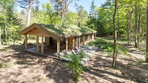 En stuga byggd av trä med en inglasad veranda och en liten terrass, omgiven av en skog.
