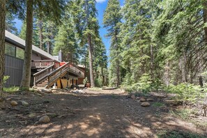 Escape to a secluded cabin nestled among tall pine trees, with a rustic staircase leading to a deck.