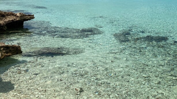 Un mar turquesa transparente con rocas visibles y un litoral rocoso.