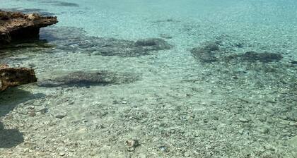 Brand New Waterfront Home on Secluded Cove, Walk to Restaurants, Bars, Stores