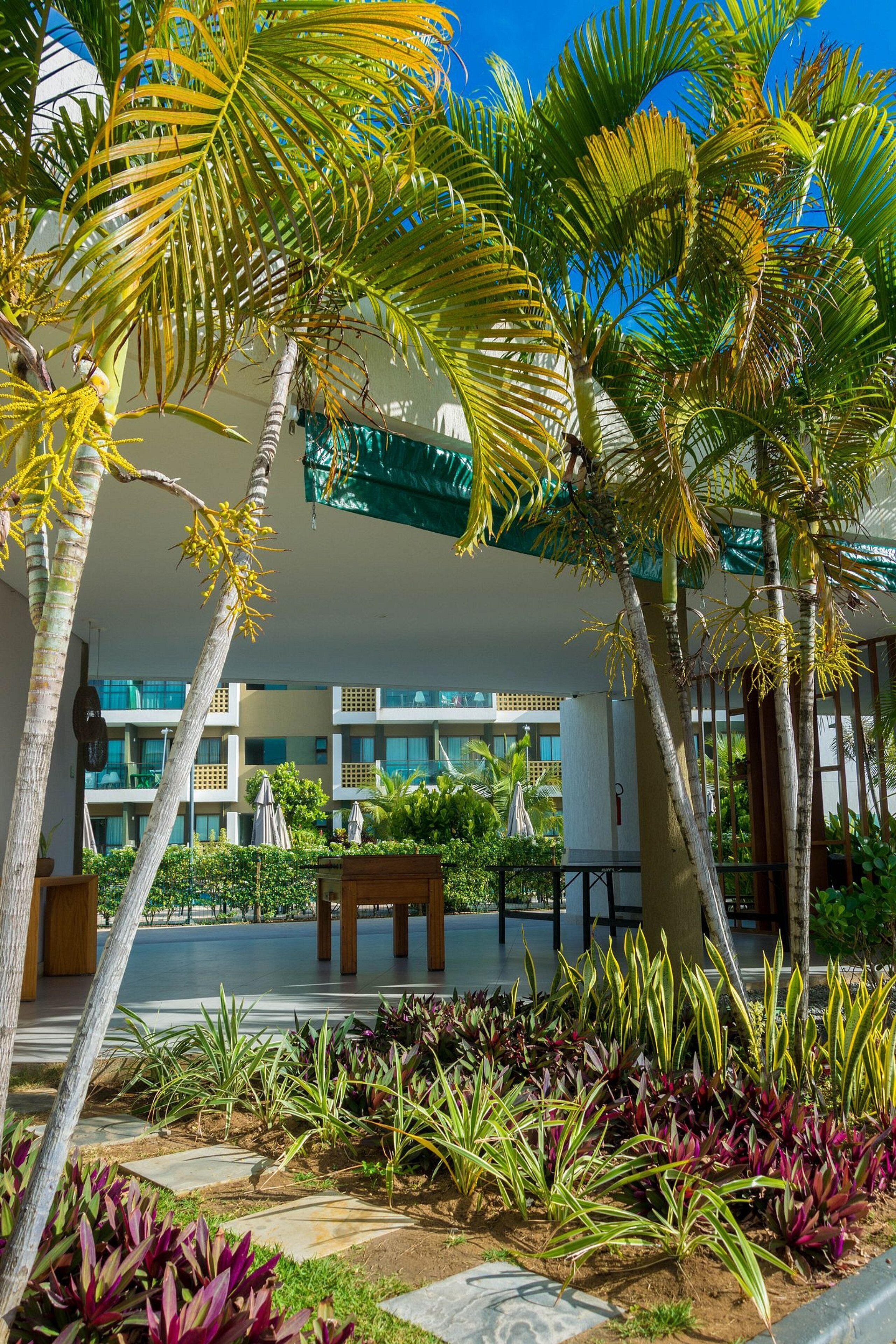 Comfort Studio | Terrace/patio