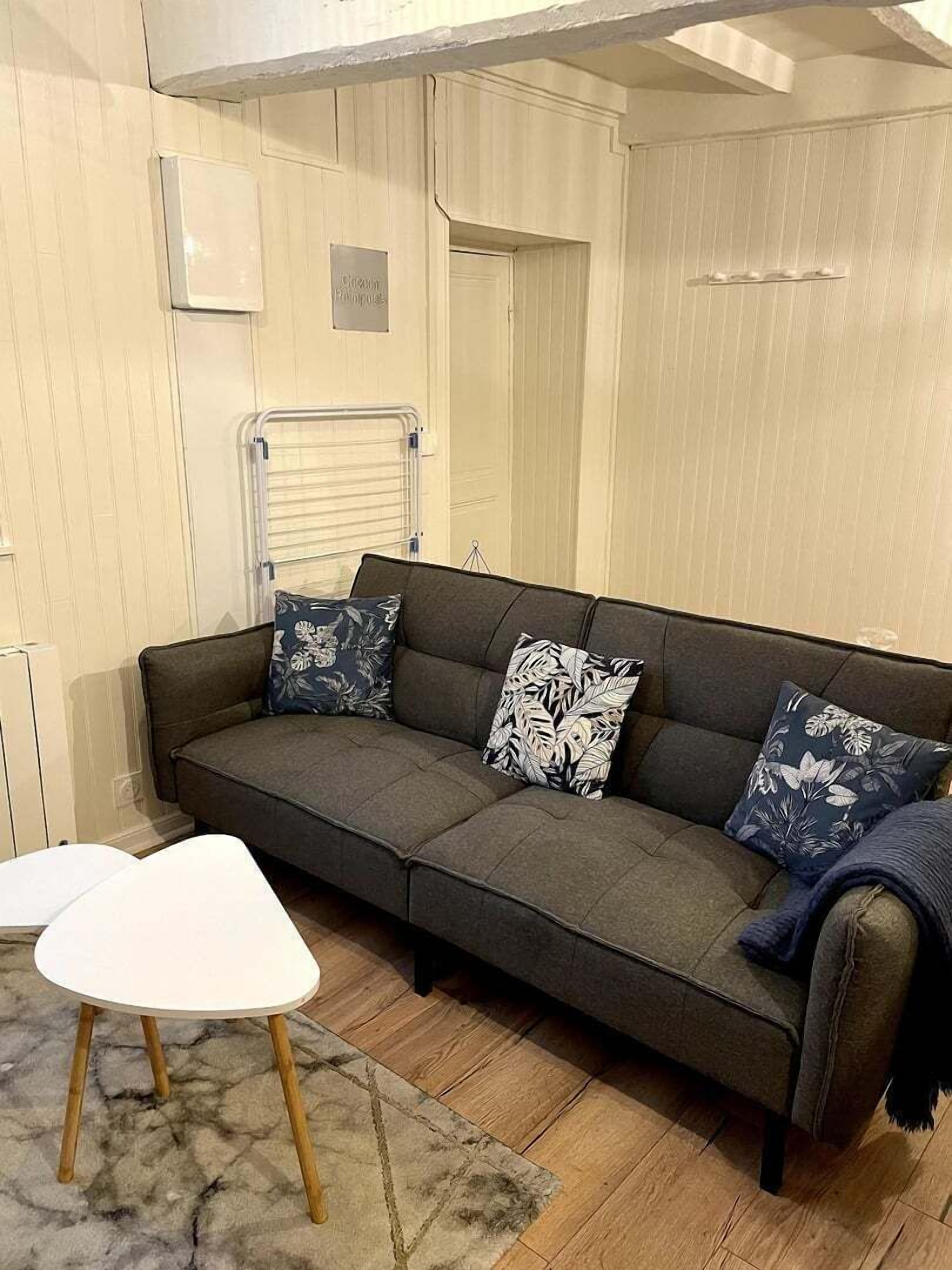 Un salon accueillant avec un canapé gris, deux coussins à motifs, une petite table d’appoint blanche et un petit tapis.