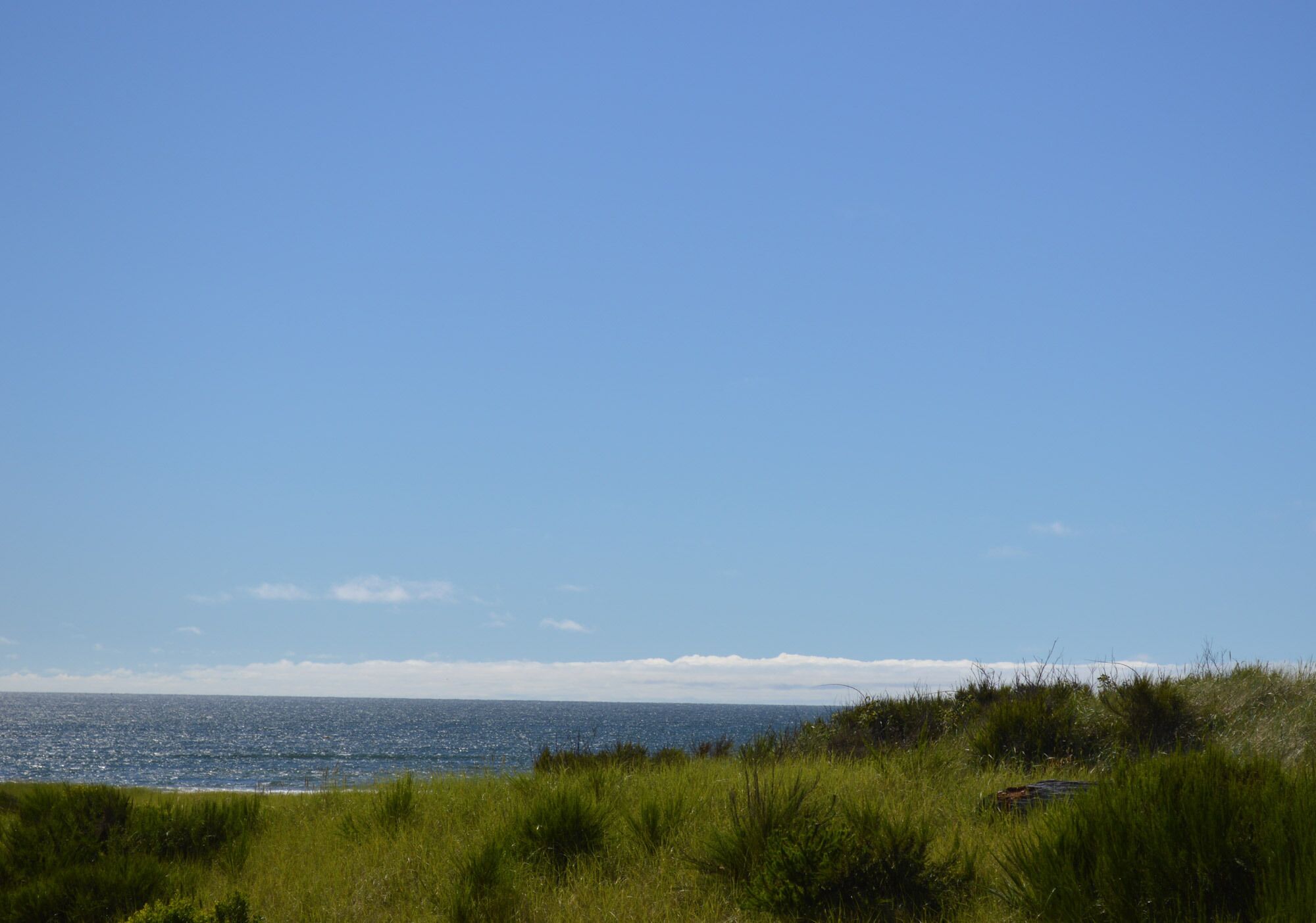 A coastal landscape with a clear sky and grassy terrain.