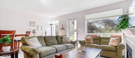 Smart-tv, een open haard, een dvd-speler en een stereo