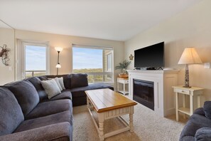 TV connectée, cheminée, lecteur de DVD, chaîne hi-fi