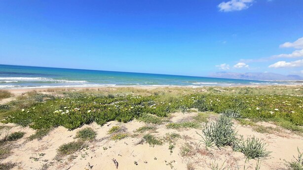 Un paysage côtier avec une plage de sable, une végétation verdoyante et un ciel bleu clair.