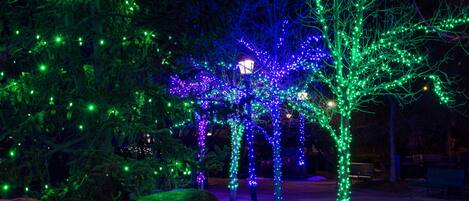 Un arbre décoré de guirlandes lumineuses vertes et bleues, un banc et un chemin pavé.