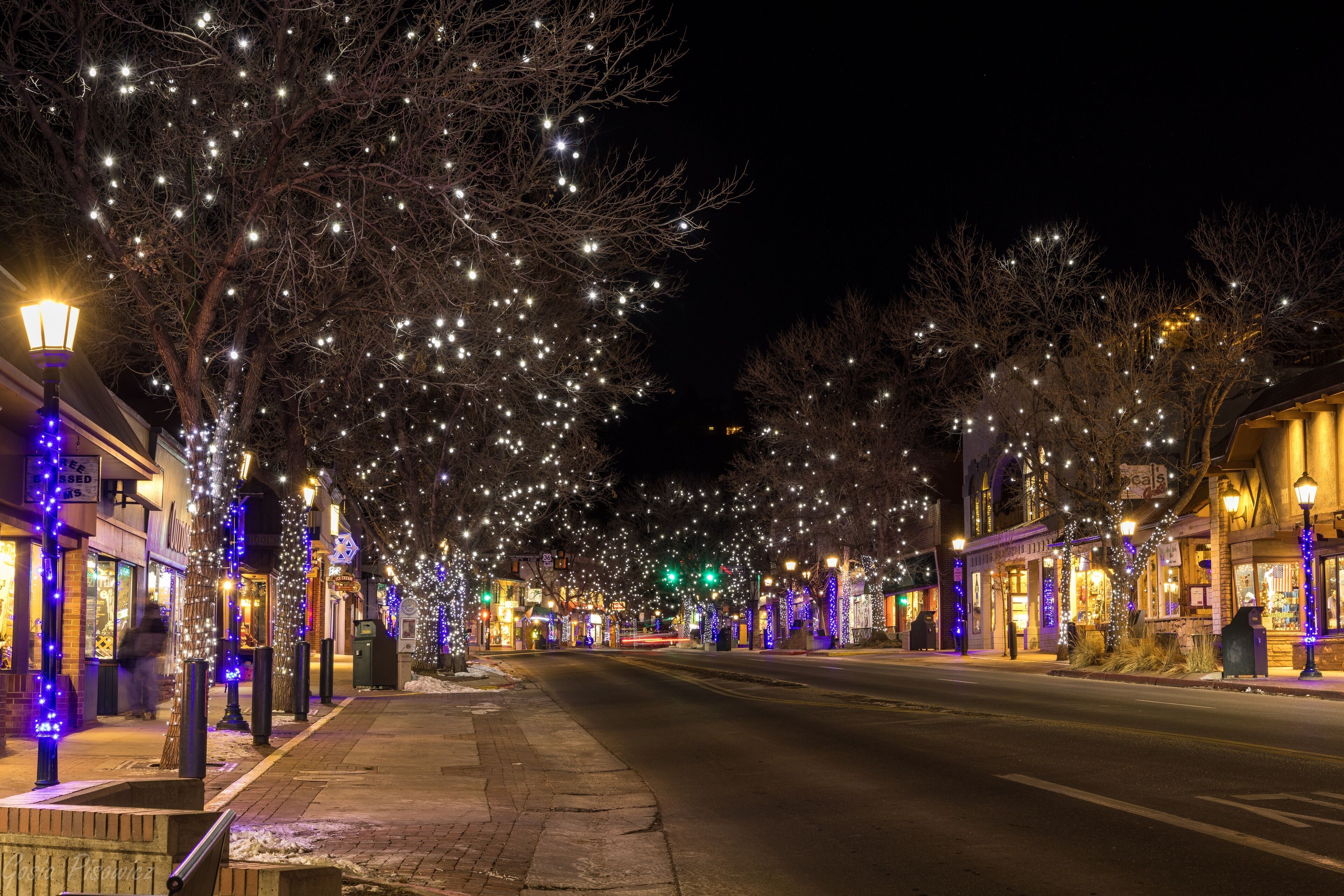 A tree-lined street at night with string lights.
