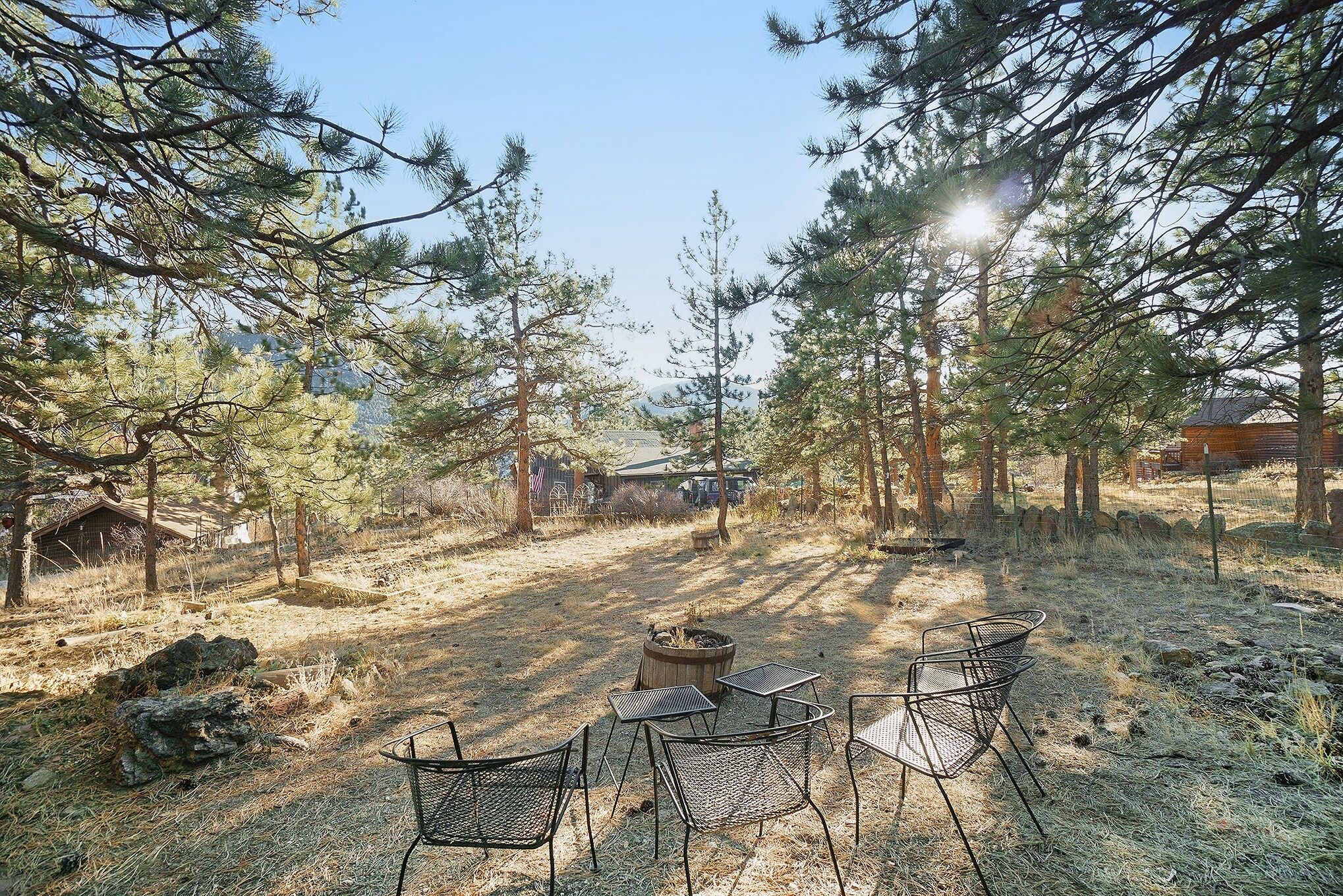 A rustic outdoor seating area with metal chairs and tables, surrounded by pine trees and a fire pit.