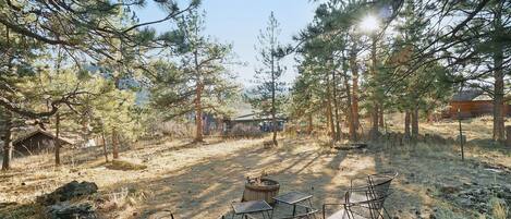 A rustic outdoor seating area with metal chairs and tables, surrounded by pine trees and a fire pit.