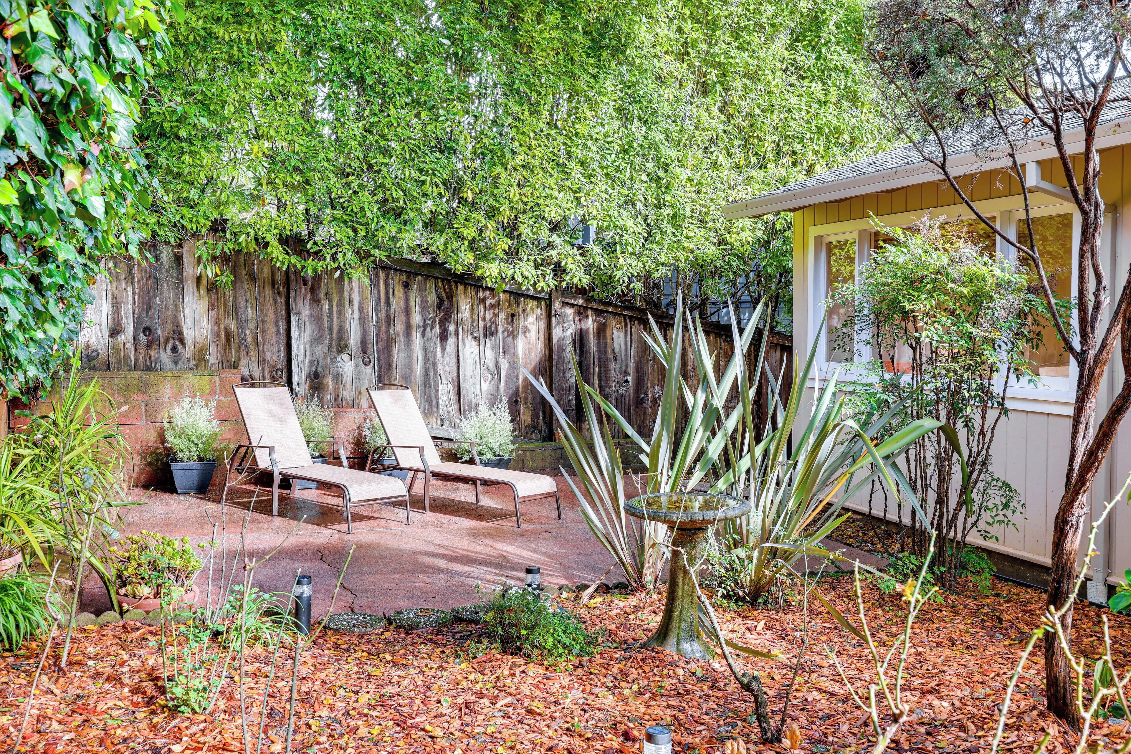 A backyard with a wooden fence, two lounge chairs, a birdbath, and various plants.