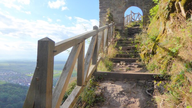 Un escalier en pierre avec une rampe en bois mène à une arche en pierre, le tout étant entouré de verdure.